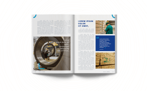 Revista Corporativa Opinus